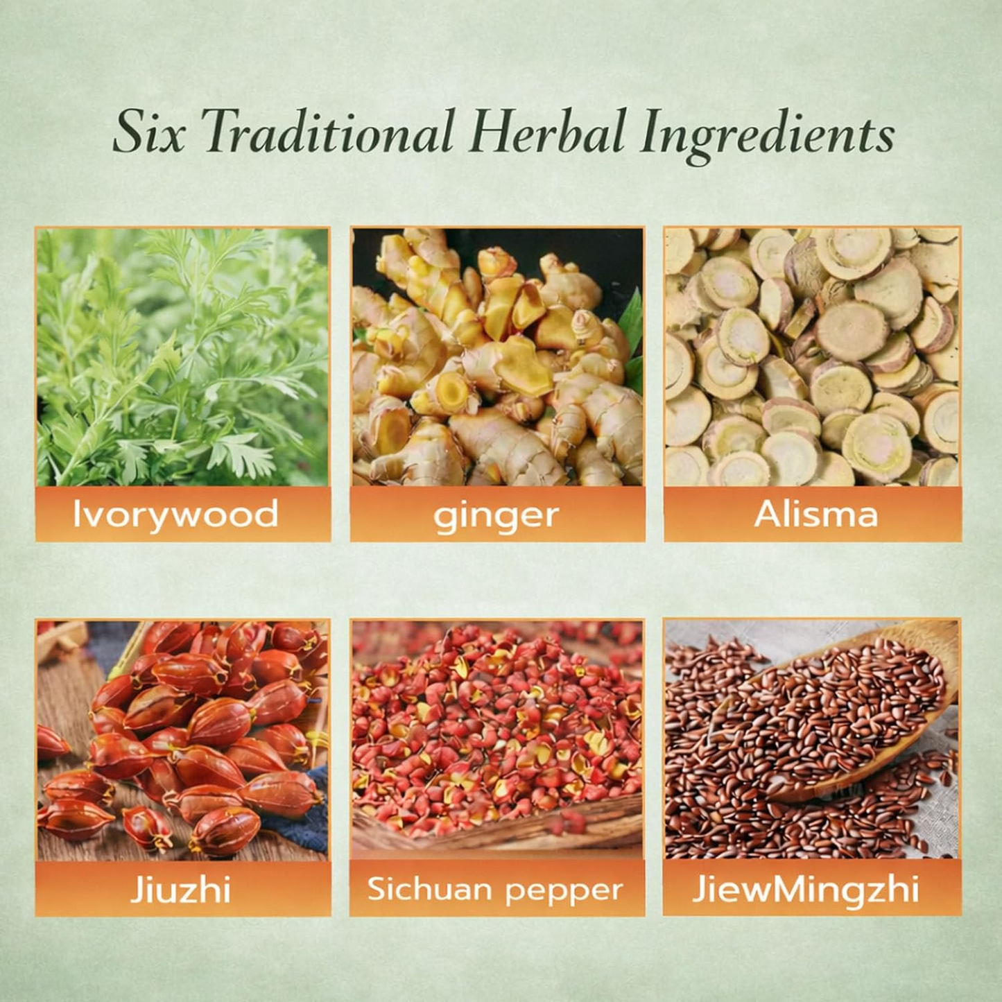 Japanese Herbal Balance Patch, Plant-Based Ingredients, Comfortable Adhesive Design
