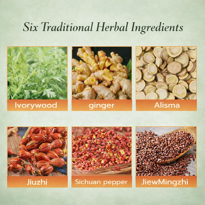 Japanese Herbal Balance Patch, Plant-Based Ingredients, Comfortable Adhesive Design